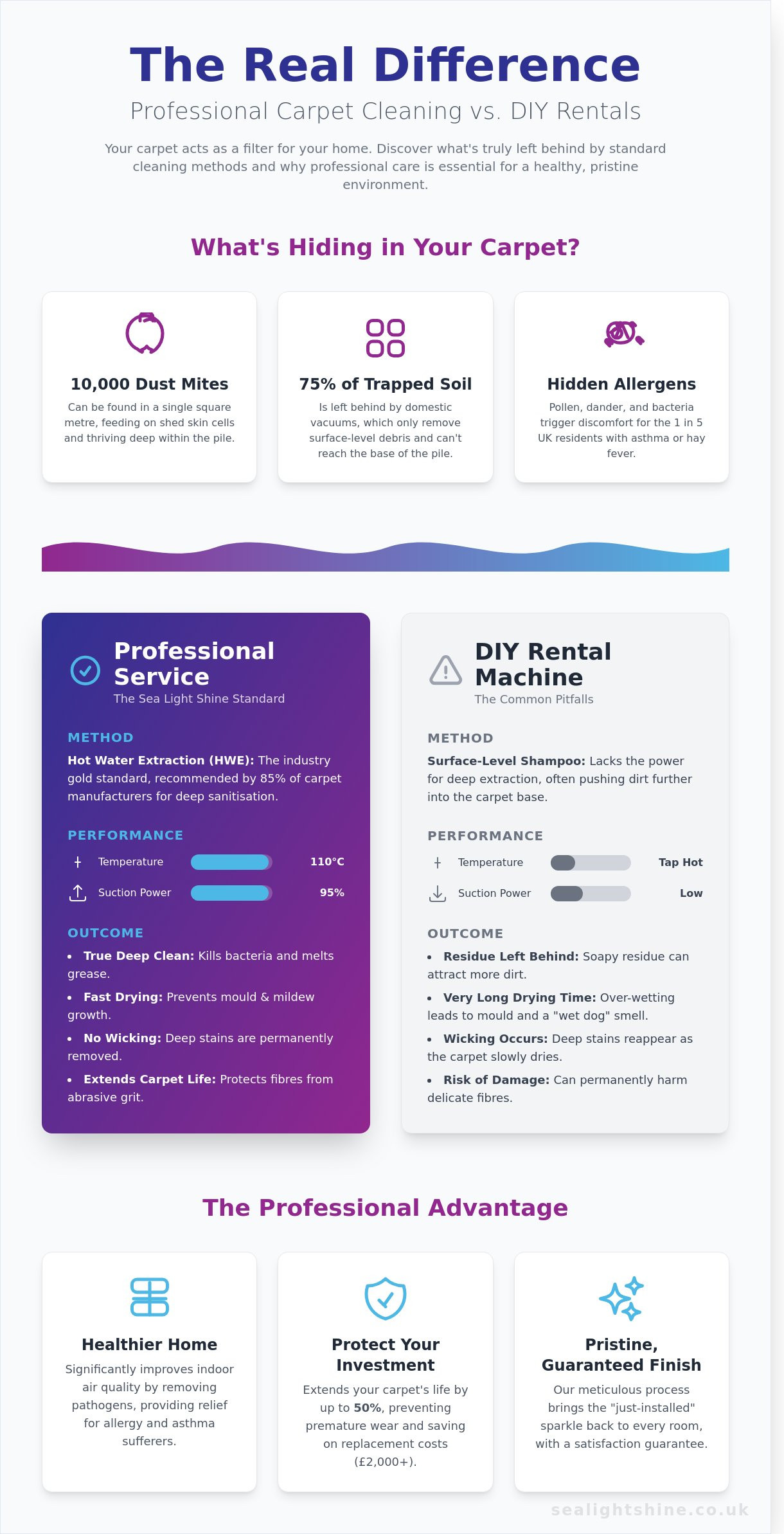 Professional Carpet Cleaning in Ipswich: The Ultimate 2026 Homeowner’s Guide